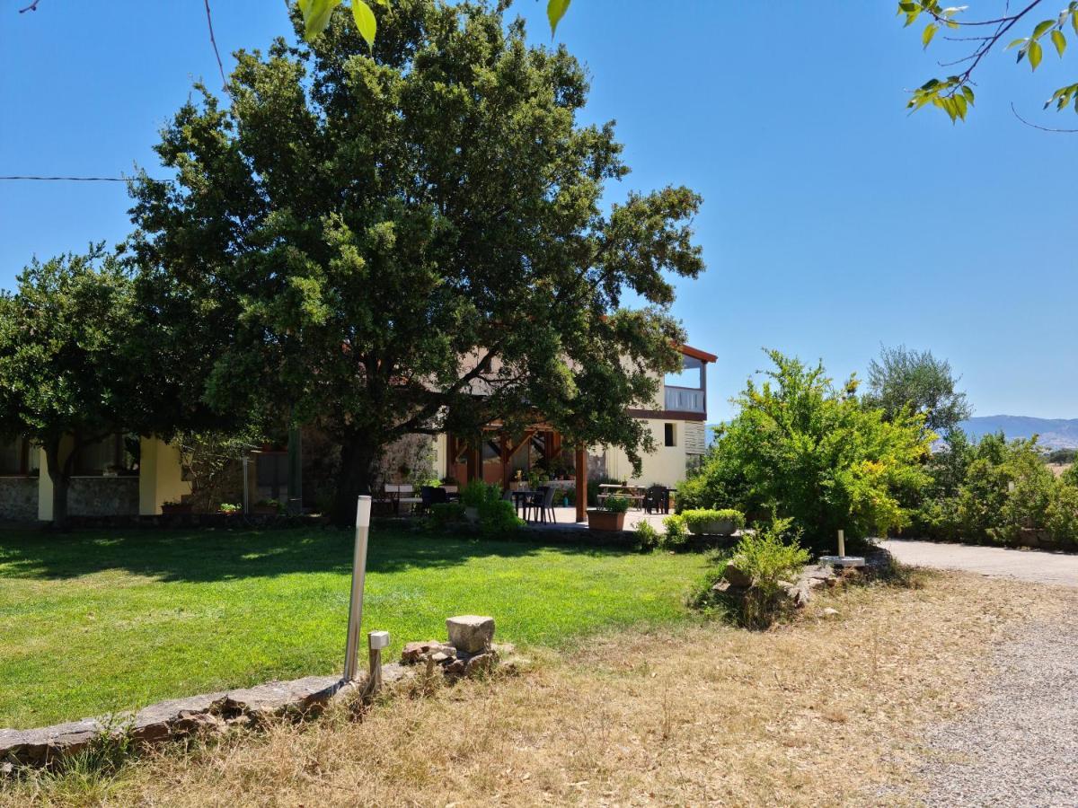 Agriturismo Sa Pigalva Tula Extérieur photo