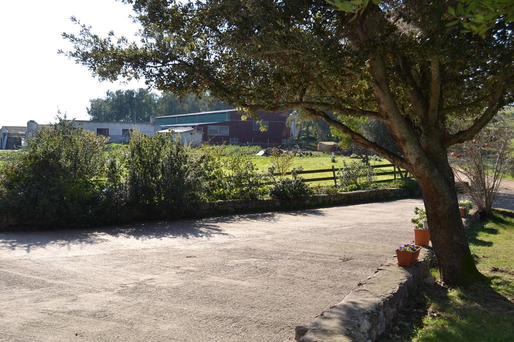 Agriturismo Sa Pigalva Tula Extérieur photo