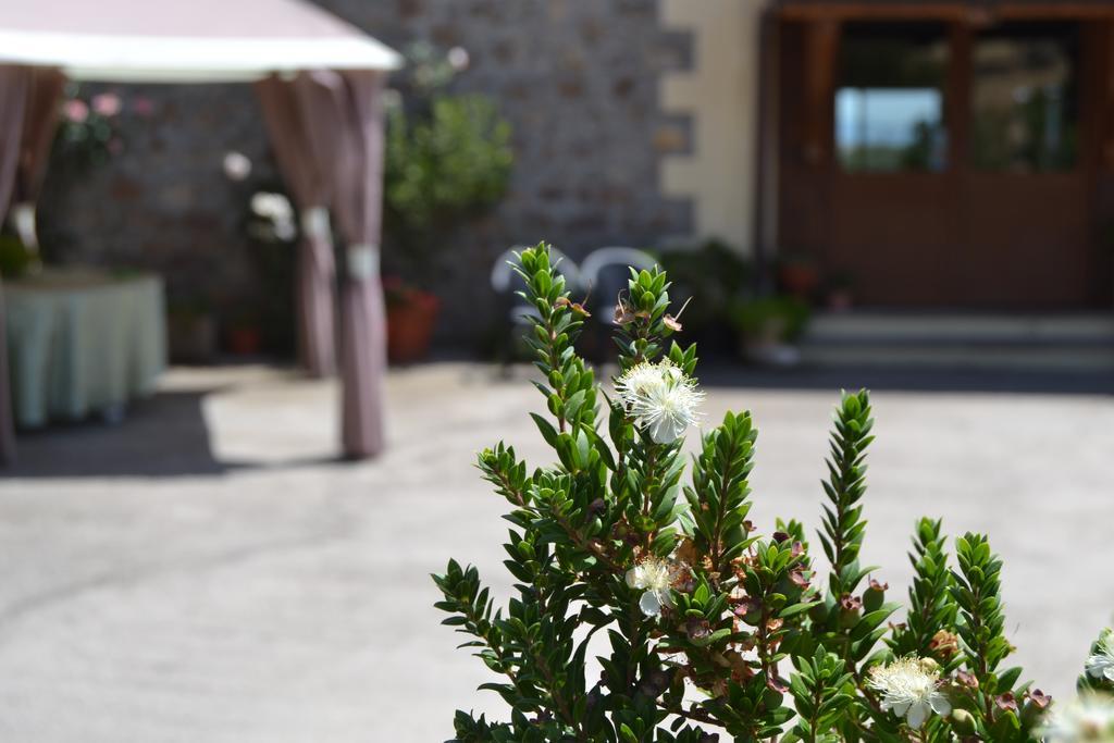 Agriturismo Sa Pigalva Tula Extérieur photo