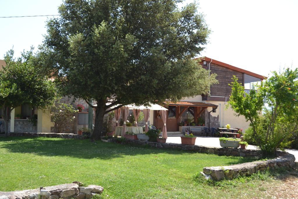 Agriturismo Sa Pigalva Tula Extérieur photo